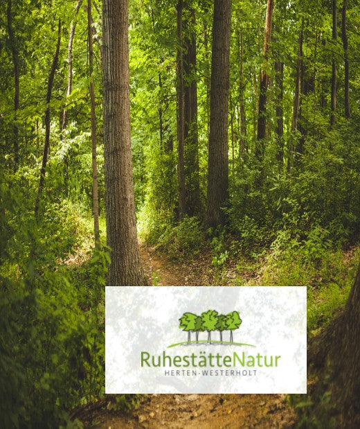 RuhestätteNatur