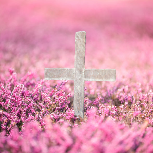 FreiPfad Bestattung am Ort