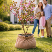 Erinnerungsbaum Nelkenkirsche Freipfad