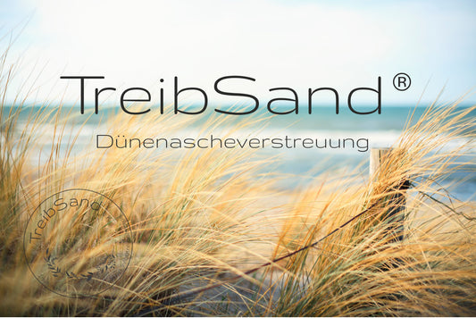 Vorsorgeplanung TreibSand - Dünenascheverstreuung deutschlandweit