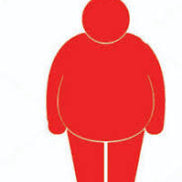Besonderheiten Gewicht von 150-200kg