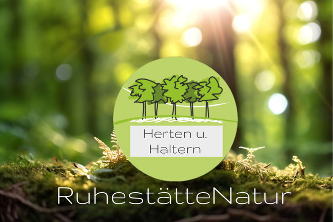 Vorsorge-Planung Waldbestattung in der RuhestätteNatur Haltern, Herten