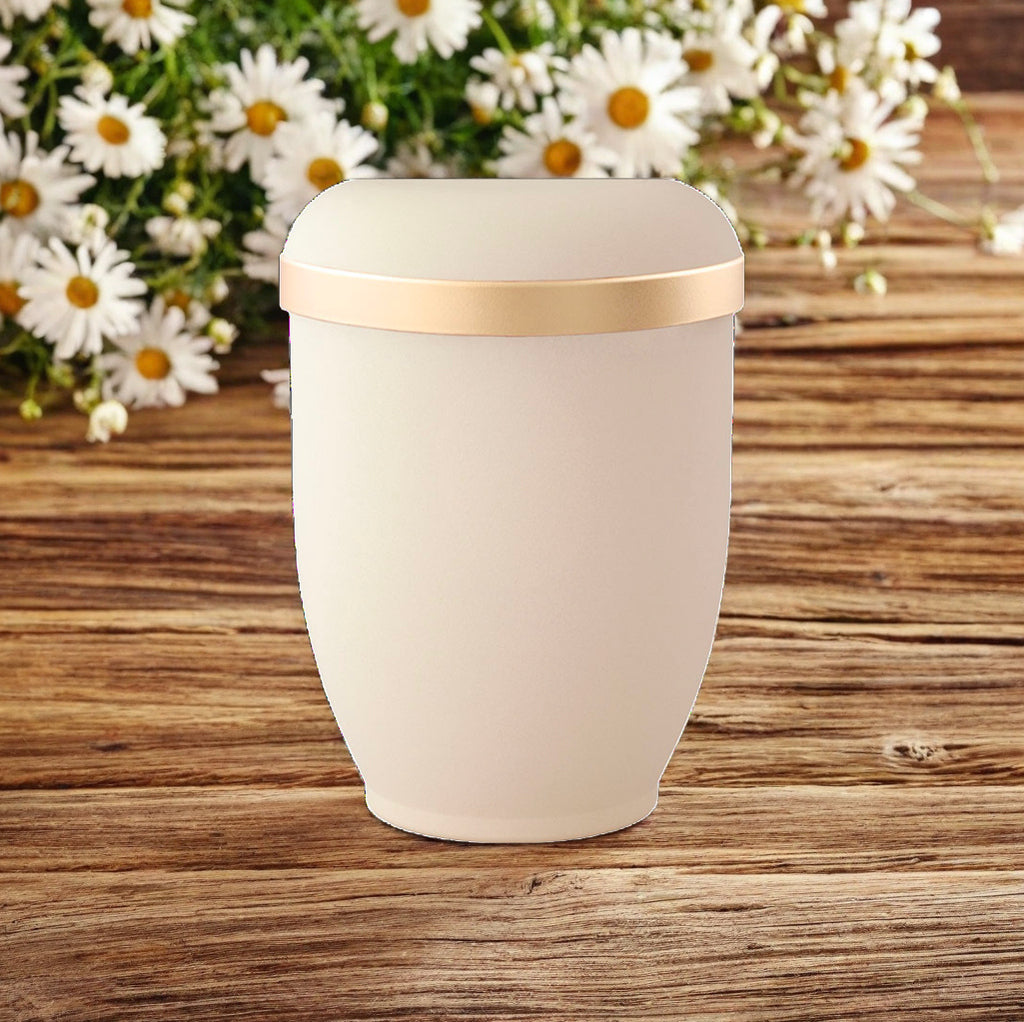Urne samtige Haptik breiter Goldrand creme