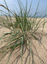 Seekarte Ostsee